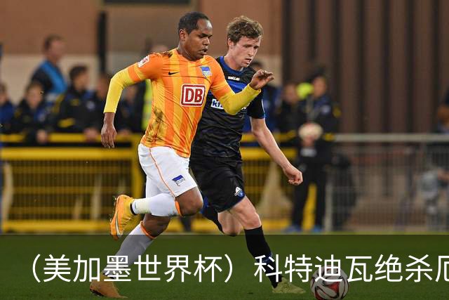 （美加墨世界杯）科特迪瓦绝杀厄瓜多尔 瑞典5:1大胜突尼斯